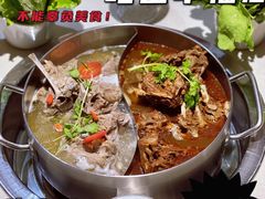 羔羊蝎子鸳鸯锅-浩爷羊蝎子火锅(望京店)