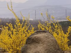 -白水寺森林公园