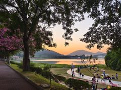 -风云岭森林公园