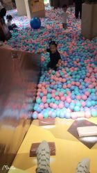 -卡通尼·Safari非洲探索乐园·生日会(金桥国际商业广场店)