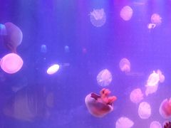 -欧亚达商业广场(红桥店)