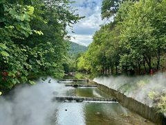 -广州白江湖森林公园