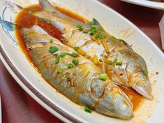 -红灯笼龙凤饭店(宁波老字号店)