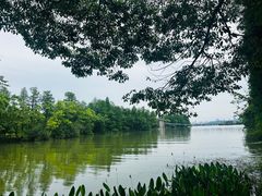 -东湖落雁景区