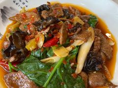 -陈麻婆豆腐总店