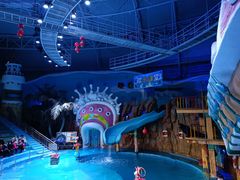 -烟台海昌鲸鲨海洋公园