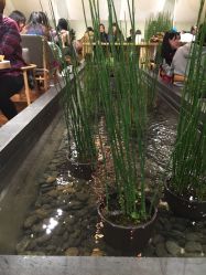 -悦诗风吟innisfree