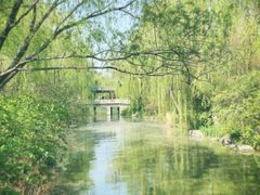 -济南大明湖景区