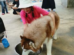 -TrueLove @ Neverland (Husky Cafe)