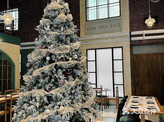 今年圣诞节就约在Trinity过吧