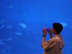 -烟台海昌鲸鲨海洋公园