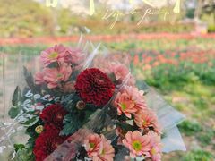 -上海鲜花港