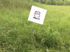 -涞滩古镇