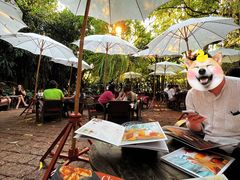 -Fern Forest Cafe