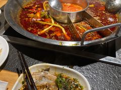 水库花鲢-味当家鱼头火锅.•甲鱼料理(金沙店)