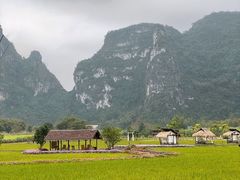 -明仕田园
