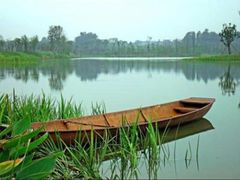 -白鹭湾湿地公园