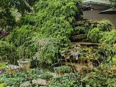 -凤来栖·净庭院·火锅(欧尚店)