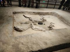 -洛阳周王城天子驾六博物馆