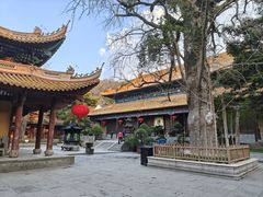 -普陀山风景名胜区-法雨禅寺