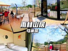 -南丹山森林王国