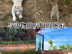 -鄂尔多斯野生动物园