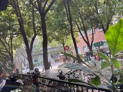 -萨尔瓦多Salvador's