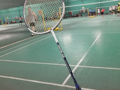 -东坡羽毛球馆(东坡南一路店)