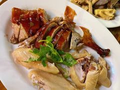 -乌文新澄海卤鹅店