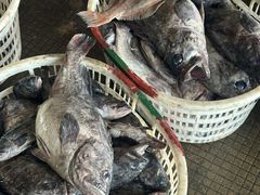 -中国舟山国际水产城