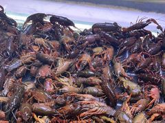 -聚盛源蒸汽海鲜火锅烤肉自助(巨川金海岸购物广场店)