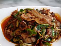 回锅肉-陈麻婆豆腐总店