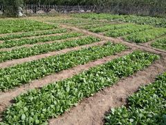 -意大利农场度假村