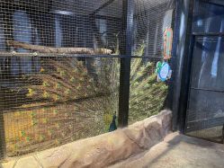 -酷嗒动物文化乐园(cutezoo西溪乐天城店)