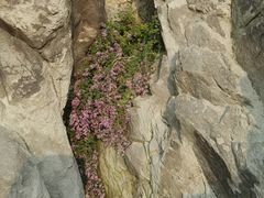 -北京鹫峰国家森林公园