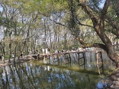 -西溪南古村落景区