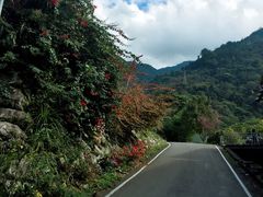 -谷关伊豆日式露天温泉