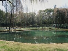 -新洲生态园