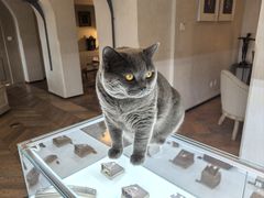 -Me Coffee下午茶艺术空间