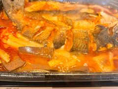 -蜀腾川·火锅鱼.烤鱼(新世界城店)