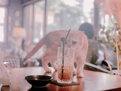 -咖法森林·咖啡  酒吧(天河店)