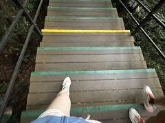 -呀诺达热带雨林