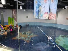 -蓝旗游泳·青训·亲子水域中心(方庄中心)