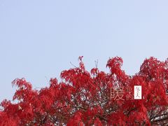 -重元寺