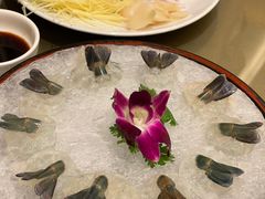 -沙龙酒家