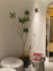 -3AM·S HAIR SALON烫发染发接发