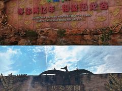 -世界恐龙谷景区