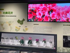 -四川大学博物馆
