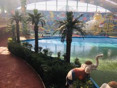 -沈阳龙润夏宫温泉水乐园