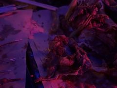 -夜火烤摊·东北烧烤酒场·老杨小黄鱼
